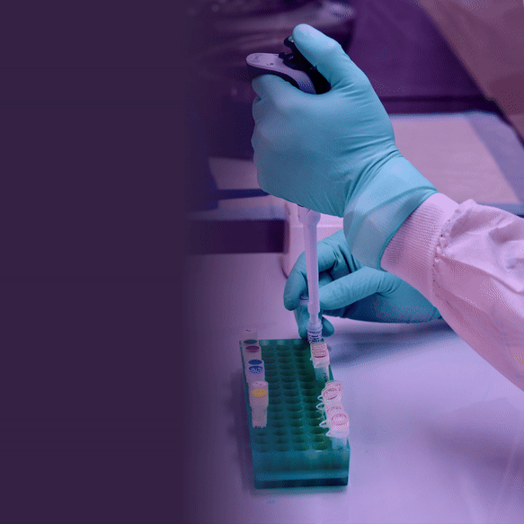 GIF_Greenlabs_under2MB