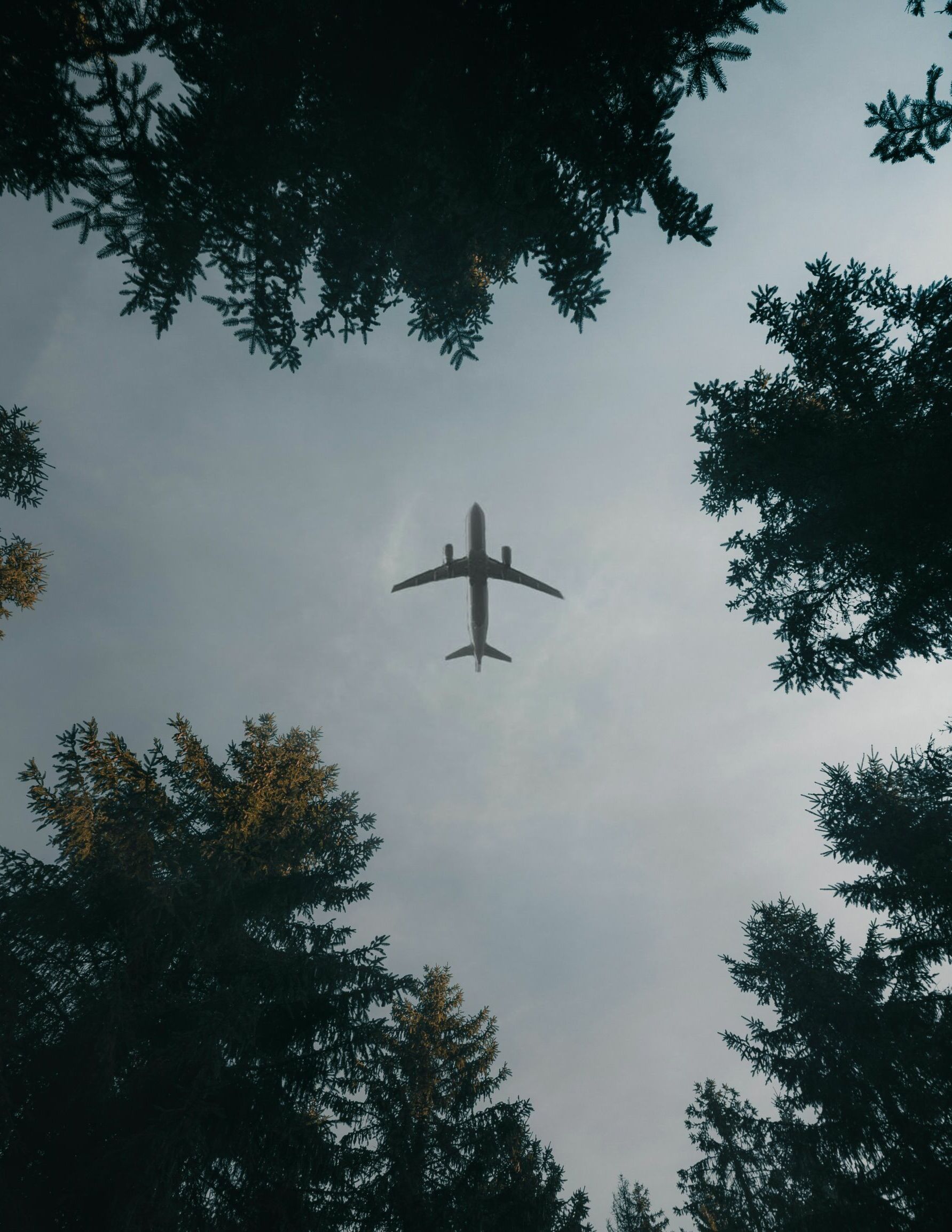 adam-neumann-za8HF_yTl1M-unsplash